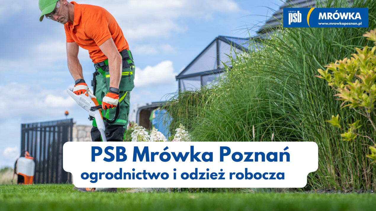 zdjęcie na stronie głównej