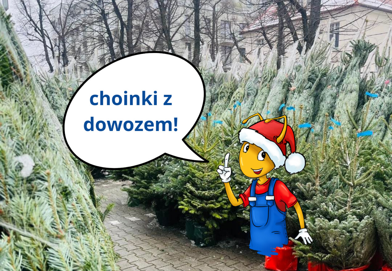 zdjęcie na stronie głównej