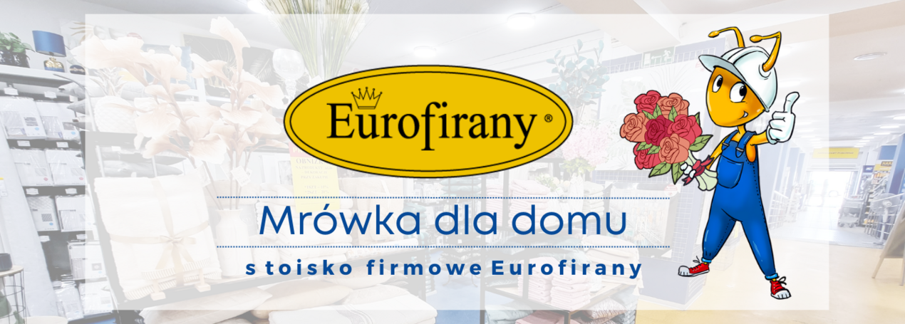 zdjęcie na stronie głównej